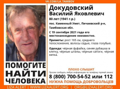 «Лиза Алерт» просит тамбовчан помочь в поисках пропавшего пенсионера