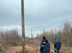 Рабочие «ТСК» все новогодние праздники помогали восстанавливать линии электропередач в ЛНР