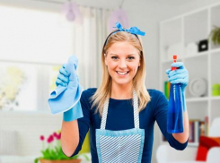 Почти четверть тамбовчан хотели бы иметь домработницу 