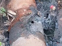 В Тамбове прохудился очередной коллектор