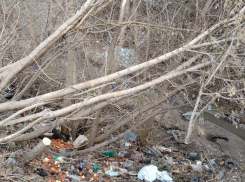 Ждёт ли Студенец спасение или очередное забвение? Часть 1