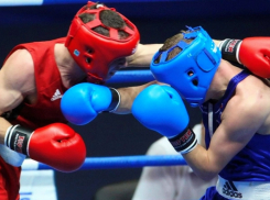 Традиционный всероссийский турнир по боксу пройдёт в Тамбове