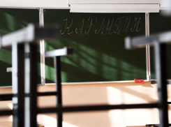 В Тамбове школы на карантин по ОРВИ пока не закроют