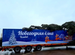 Новогодняя ёлка с площади Ленина превратится в скамейки