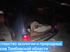 В Сосновском округе задержали местных жителей, подозреваемых в браконьерстве