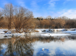 Вторая рабочая неделя февраля в Тамбове будет «мартовской»