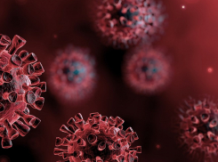 В Тамбовской области третий день подряд выявляют больше 1 000 больных covid-19