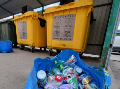 В 2023 году в Тамбовской области собрано почти 300 тонн вторсырья