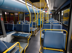 Владимирское «Волгабас Групп» поставит Тамбову автобусы за 174 миллиона рублей