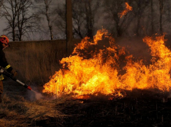 В Тамбовской области установлен особый режим противопожарной безопасности