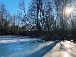Первые выходные зимы в Тамбове будут солнечными и морозными