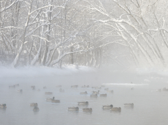 В Рождественские праздники Тамбовскую область накроют оттепель и туман
