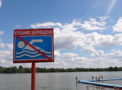 В Тамбове запретили купаться у кафе «Парус», там нашли паразитов