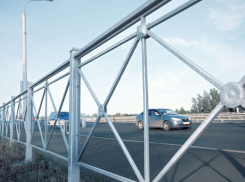 У светофоров на перекрестках Тамбова установят 15 новых пешеходных ограждений