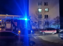 В Тамбове из пожара в пятиэтажке спасли четырёх человек