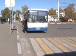 В Тамбовской области в ходе рейда «Автобус» оштрафовали более 500 водителей 