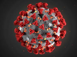 За сутки коронавирус обнаружен у 39 тамбовчан