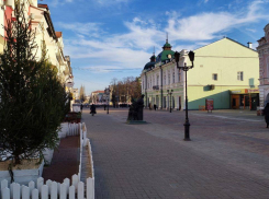 В Тамбове начали появляться «новогодние элементы»