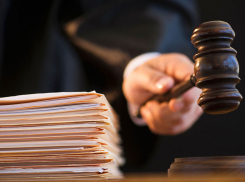 В Жердевке главу «Молочного края» осудят за незаконную вырубку