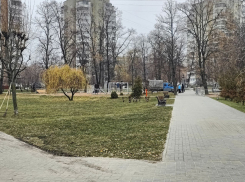 В Тамбове обещают открыть сквер Баратынского