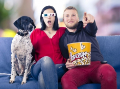 Пока дети спят: десятка мультсериалов для взрослых тамбовчан