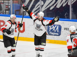 Тамбовские «волки» в гостях разгромили лидера первенства