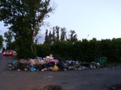 Остро стоит в Тамбове проблема вывоза мусора с территорий дачных товариществ 