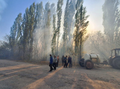 Уголовные дела возбуждены по фактам пожаров в Тихом углу и Шапкино