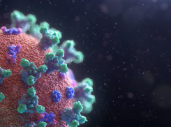 В регионе снова увеличилось количество больных covid-19: +1 289 за сутки