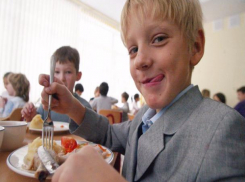 Подорожавшие обеды в тамбовских школьных столовых урежут семейный бюджет на 2000 рублей
