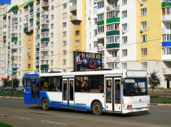 Автобусы до Хладокомбината и Чистых прудов будут ездить по-новому 