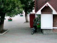 В городском Парке культуры Тамбова объявился пожилой похититель лампочек уличного освещения