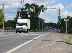 Три новых пешеходных светофора появятся в Тамбовской области