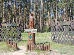 В Тамбовской области начался пожароопасный сезон
