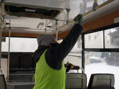Тамбовские автобусы начали дезинфицировать после каждого рейса