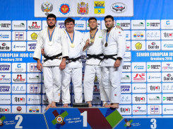 Губернатор получил благодарность за развитие дзюдо 