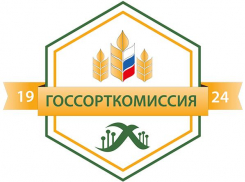 Бывший руководитель тамбовской «Госсорткомиссии» нанес 150-миллионный ущерб государству 