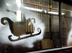 В Тамбове в конце декабря на маршрут выйдет Дедморобус