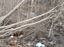 В Тамбове волонтёры почистят берега Студенца