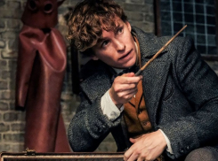 Тамбовские кинотеатры наполнились магией