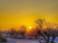 В Тамбове на праздничной мартовской неделе ожидается потепление