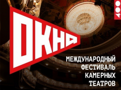 Тамбовский драматический откроет международные «Окна»