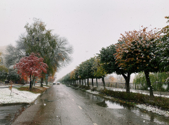 В Тамбове на этой неделе похолодает до -9 градусов