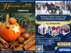 Выставки, концерты, лошадиные бега: афиша мероприятий Тамбова