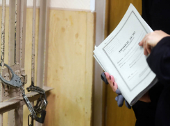 Рассказовского экс-депутата-фермера условно наказали за мошенничество с областными грантами