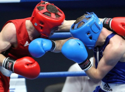 150 боксеров примут участие в юбилейном турнире 