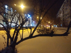 Скоро ветер переменится... Тамбов ждет потепление и снег 