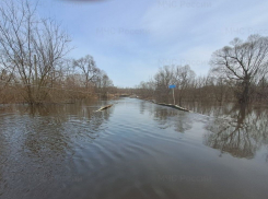Весенний паводок затопил мост через Савалу в Жердевском округе