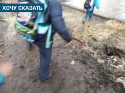 Магазин открылся, тротуар пропал: пешеходы на Астраханке пробираются по грязи 