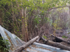 «За гаражами с председателем». Народный репортер